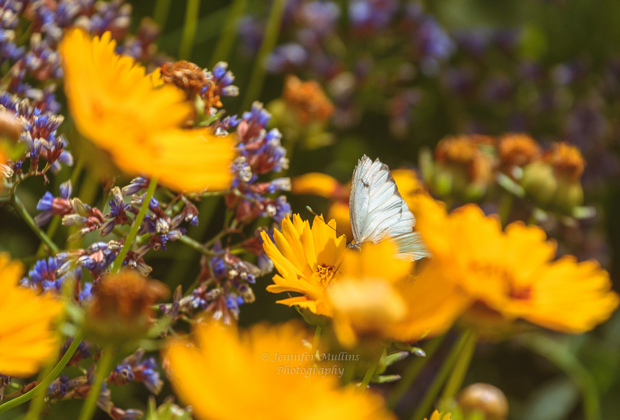 Because Everything Falls&nbsp;Away