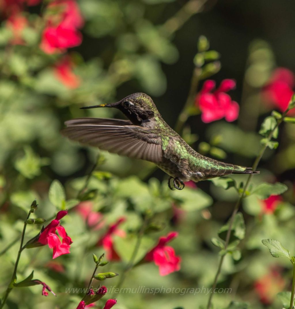 I Love You This&nbsp;Much