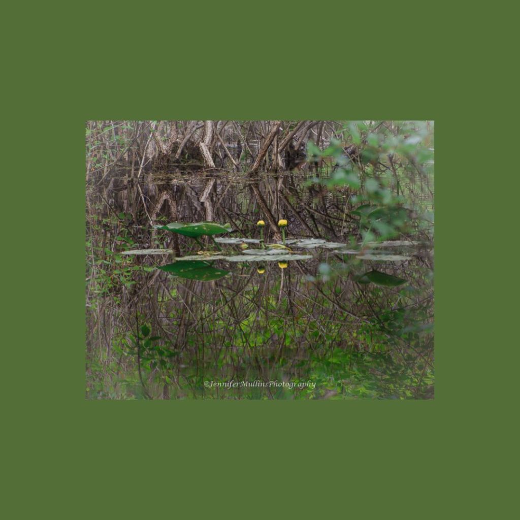 Extraordinary Power of Everyday&nbsp;Moments