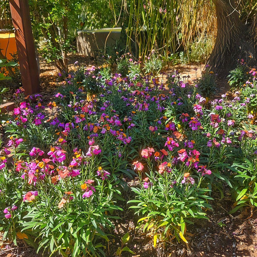 Relentless Appreciation