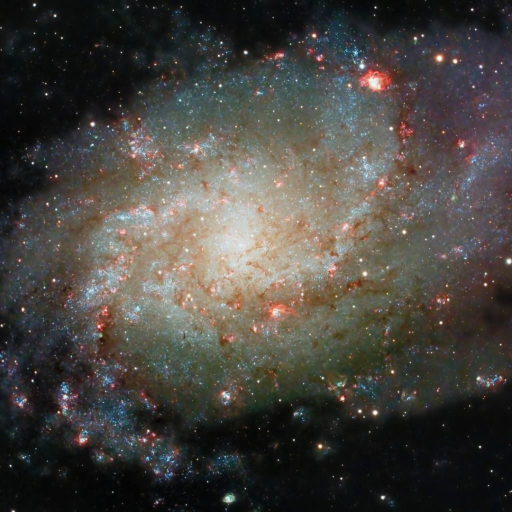 Reaching for Light in Times of&nbsp;Darkness