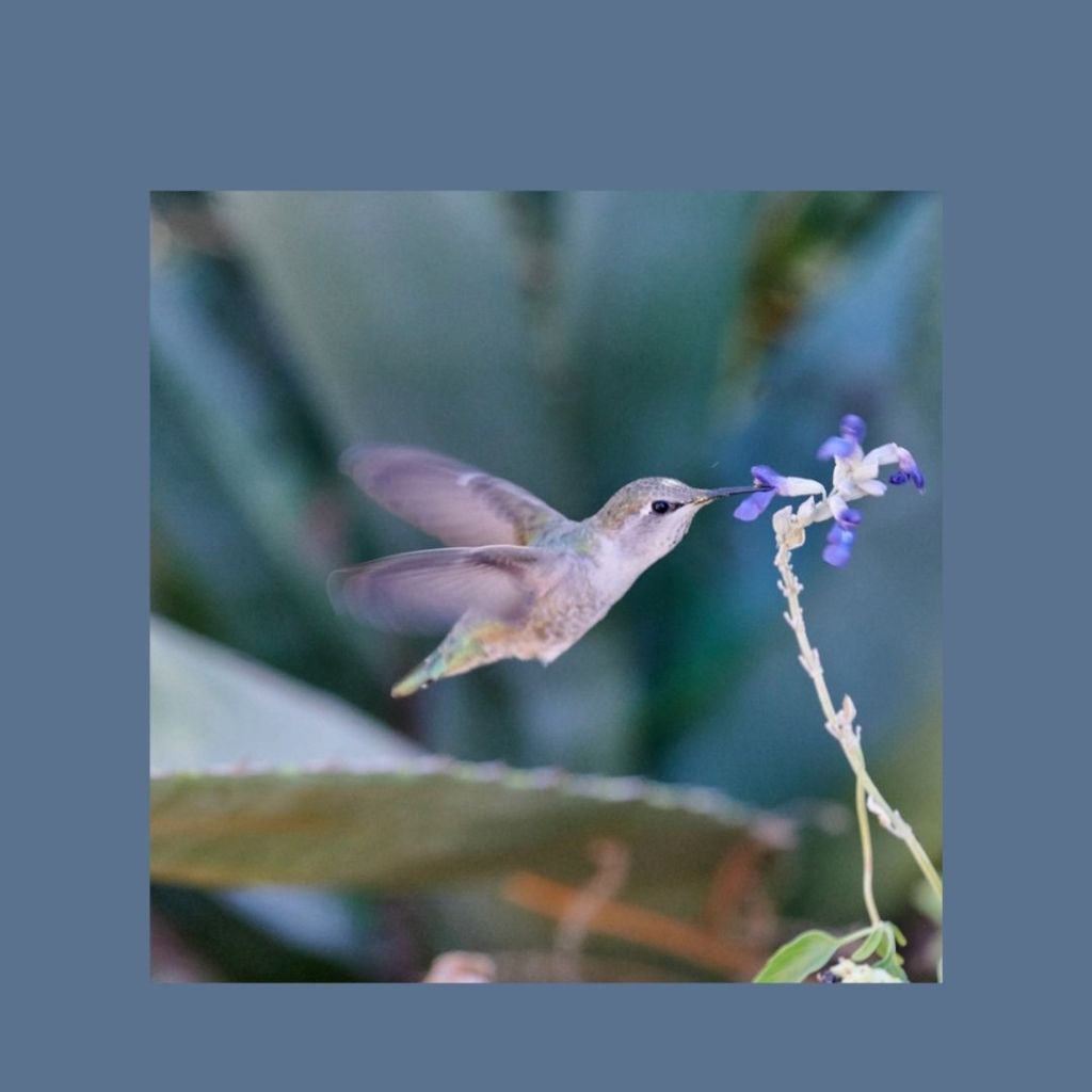 The Power of Tiny Little&nbsp;Joys