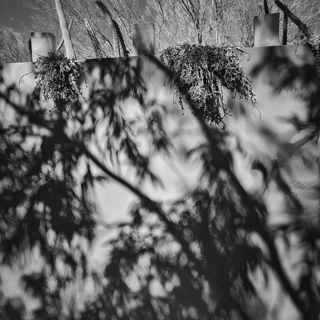 Whispers of the&nbsp;Soul